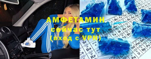 прущие грибы Верхний Тагил